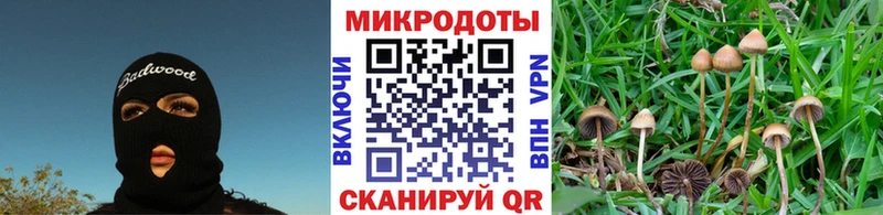 Псилоцибиновые грибы мицелий  Углич 